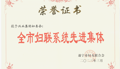 喜報(bào)！興業(yè)集團(tuán)婦委會(huì)榮獲“全市婦聯(lián)系統(tǒng)先進(jìn)集體”榮譽(yù)稱號