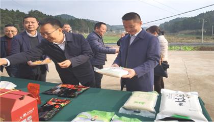 市委常委、政法委書記劉波濤帶隊調(diào)研指導定點幫扶村鄉(xiāng)村振興工作